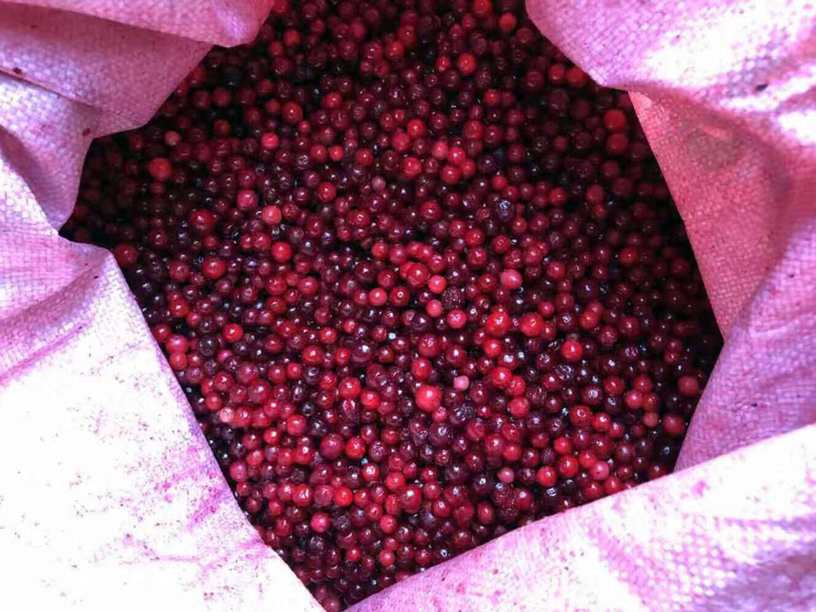 The lingonberry frozen. Class A (white berries less than 5%). China.